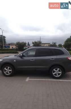 Внедорожник / Кроссовер Hyundai Santa FE 2007 в Житомире