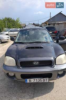 Позашляховик / Кросовер Hyundai Santa FE 2003 в Маяках