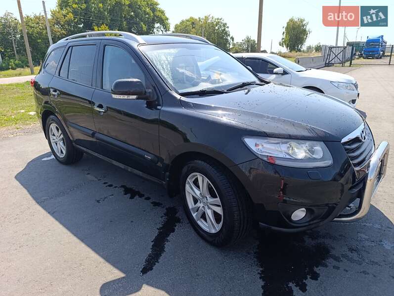 Позашляховик / Кросовер Hyundai Santa FE 2010 в Жашківу