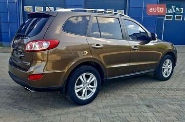 Внедорожник / Кроссовер Hyundai Santa FE 2010 в Ивано-Франковске
