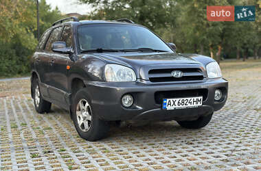 Внедорожник / Кроссовер Hyundai Santa FE 2005 в Харькове