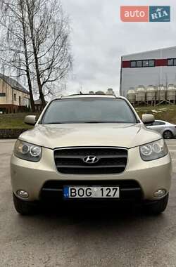 Внедорожник / Кроссовер Hyundai Santa FE 2003 в Доброполье