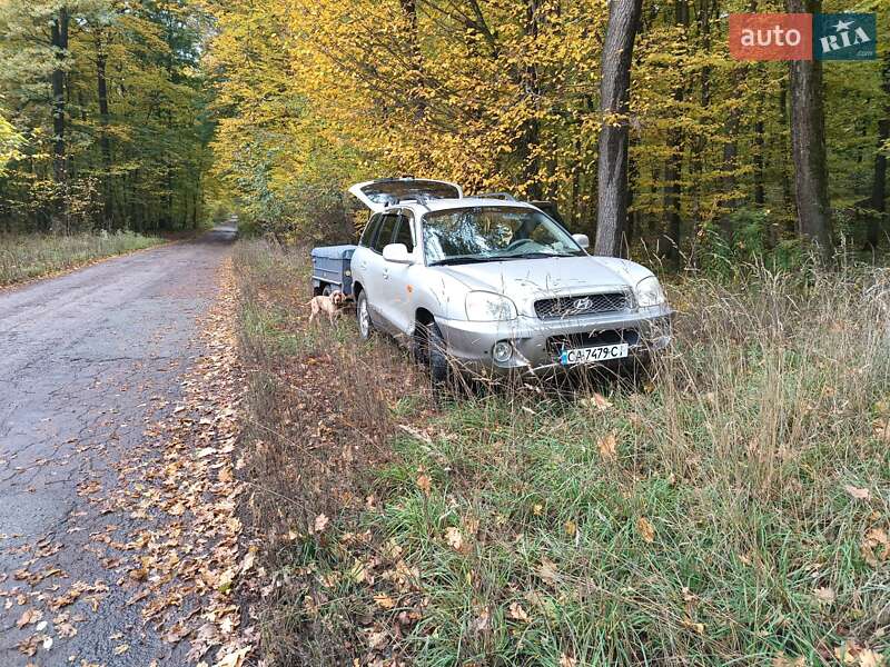 Позашляховик / Кросовер Hyundai Santa FE 2003 в Черкасах