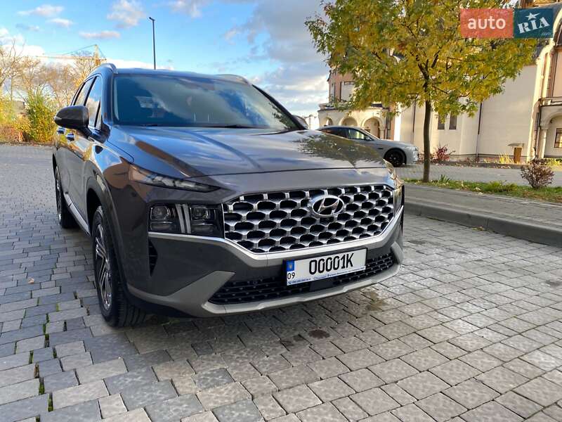 Внедорожник / Кроссовер Hyundai Santa FE 2020 в Ивано-Франковске фото 28 Внедорожник / Кроссовер Hyundai Santa FE 2020 в Ивано-Франковске