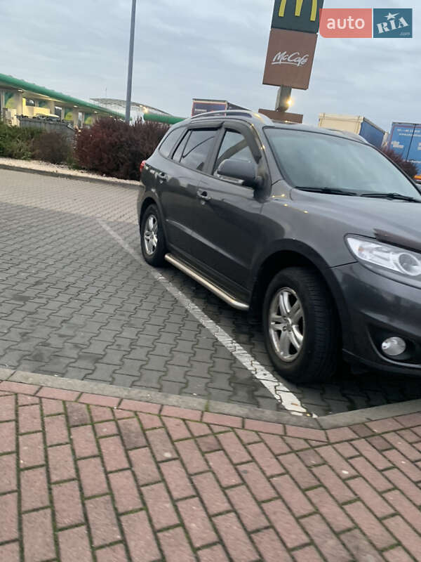 Внедорожник / Кроссовер Hyundai Santa FE 2011 в Умани фото 4 Внедорожник / Кроссовер Hyundai Santa FE 2011 в Умани