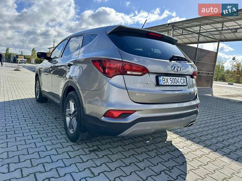 Внедорожник / Кроссовер Hyundai Santa FE 2018 в Каменец-Подольском фото 7 Внедорожник / Кроссовер Hyundai Santa FE 2018 в Каменец-Подольском