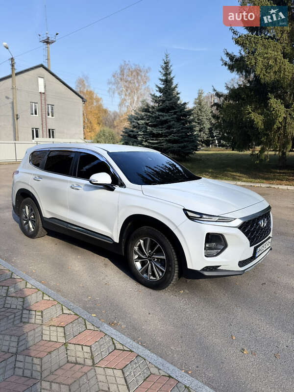 Внедорожник / Кроссовер Hyundai Santa FE 2019 в Краснограде