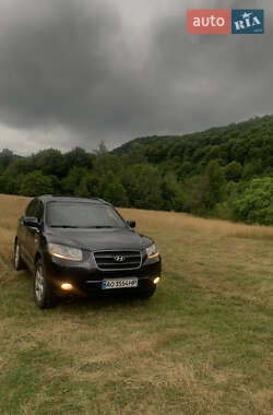 Внедорожник / Кроссовер Hyundai Santa FE 2006 в Хусте