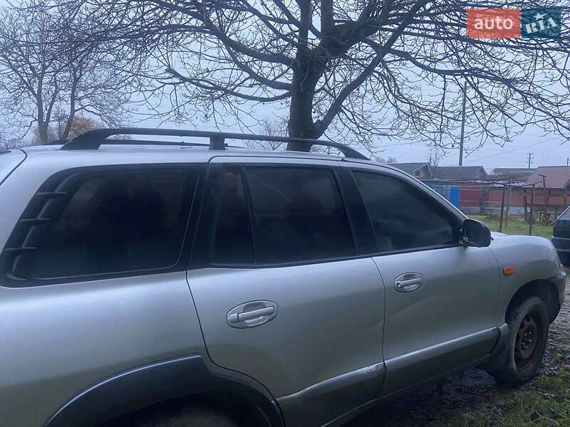 Внедорожник / Кроссовер Hyundai Santa FE 2001 в Бучаче