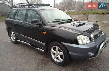 Внедорожник / Кроссовер Hyundai Santa FE 2001 в Запорожье