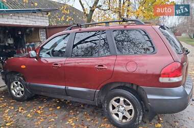 Внедорожник / Кроссовер Hyundai Santa FE 2005 в Носовке