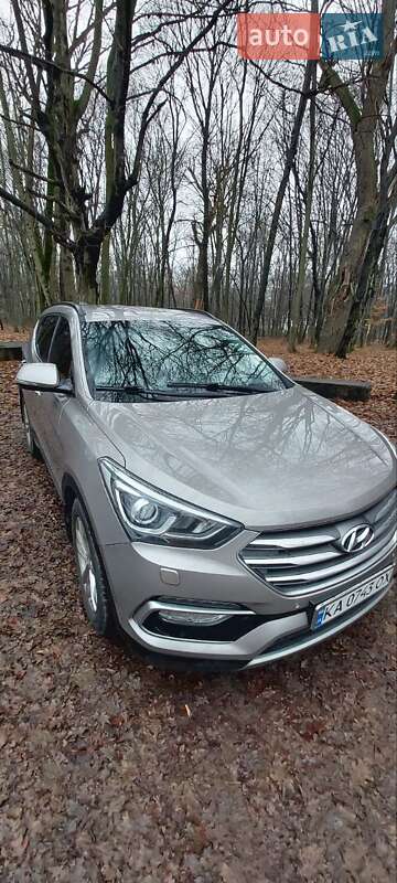 Внедорожник / Кроссовер Hyundai Santa FE 2017 в Киеве фото Внедорожник / Кроссовер Hyundai Santa FE 2017 в Киеве
