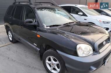 Позашляховик / Кросовер Hyundai Santa FE 2003 в Львові
