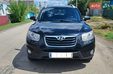 Позашляховик / Кросовер Hyundai Santa FE 2010 в Шполі