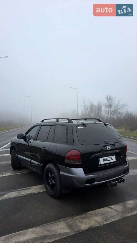 Внедорожник / Кроссовер Hyundai Santa FE 2004 в Хмельницком