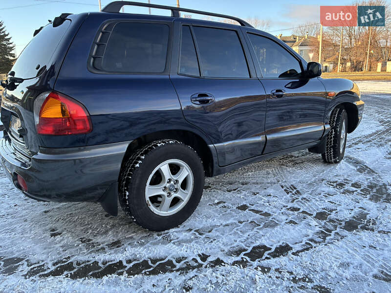 Внедорожник / Кроссовер Hyundai Santa FE 2004 в Дрогобыче