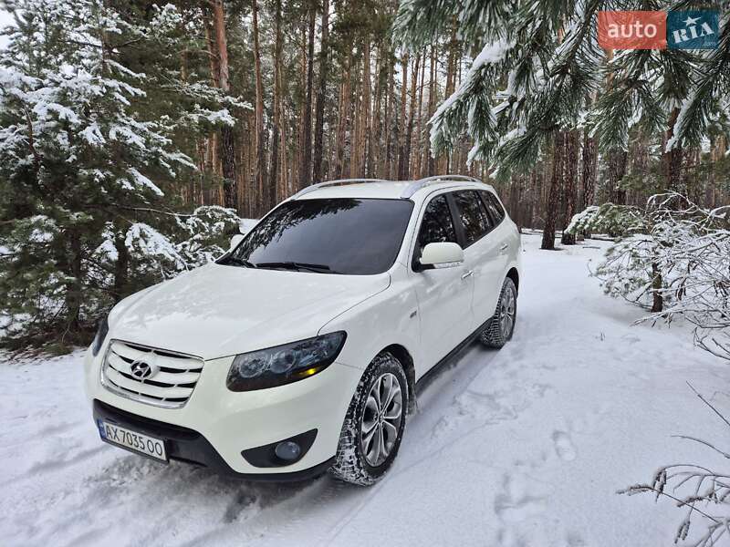 Позашляховик / Кросовер Hyundai Santa FE 2010 в Андріївці