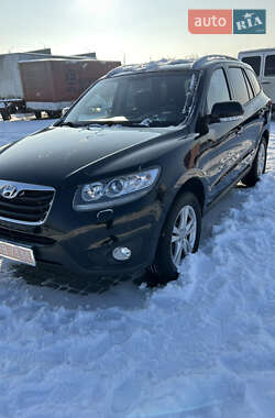 Внедорожник / Кроссовер Hyundai Santa FE 2011 в Черновцах
