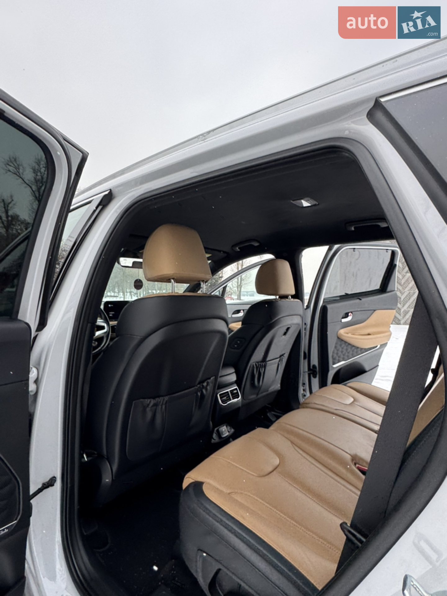 2020 Hyundai Santa Fe - мініатюра 198