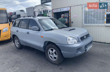 Внедорожник / Кроссовер Hyundai Santa FE 2002 в Киеве