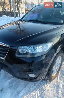 Позашляховик / Кросовер Hyundai Santa FE 2011 в Корюківці