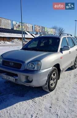 Внедорожник / Кроссовер Hyundai Santa FE 2002 в Борисполе