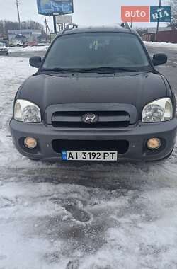 Внедорожник / Кроссовер Hyundai Santa FE 2006 в Барышевке