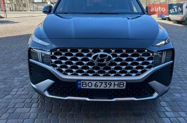 Внедорожник / Кроссовер Hyundai Santa FE 2021 в Тернополе