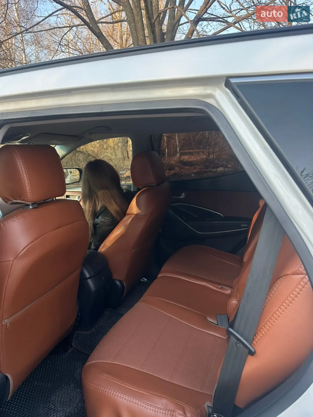 2015 Hyundai Santa Fe - мініатюра 31
