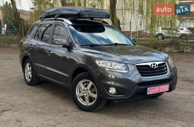 Позашляховик / Кросовер Hyundai Santa FE 2010 в Млиніві