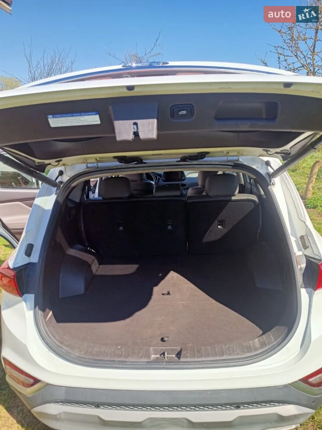 2019 Hyundai Santa Fe - мініатюра 22