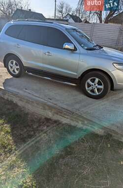 Позашляховик / Кросовер Hyundai Santa FE 2006 в Житомирі