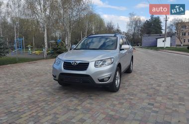 Позашляховик / Кросовер Hyundai Santa FE 2012 в Миргороді