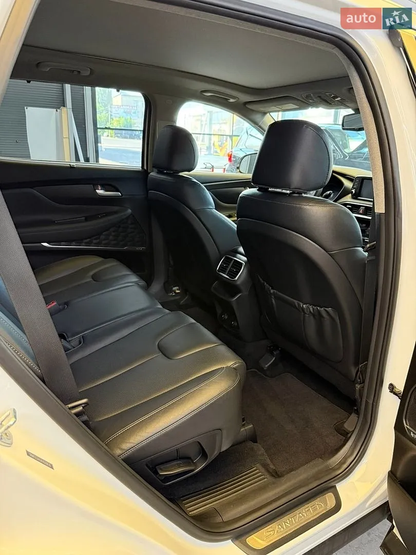 2018 Hyundai Santa Fe - мініатюра 51