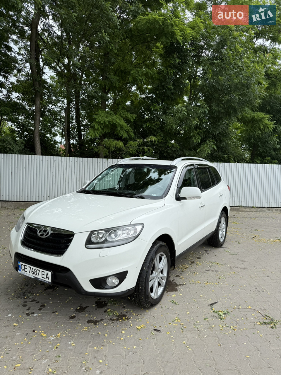 2010 Hyundai Santa Fe - мініатюра 24