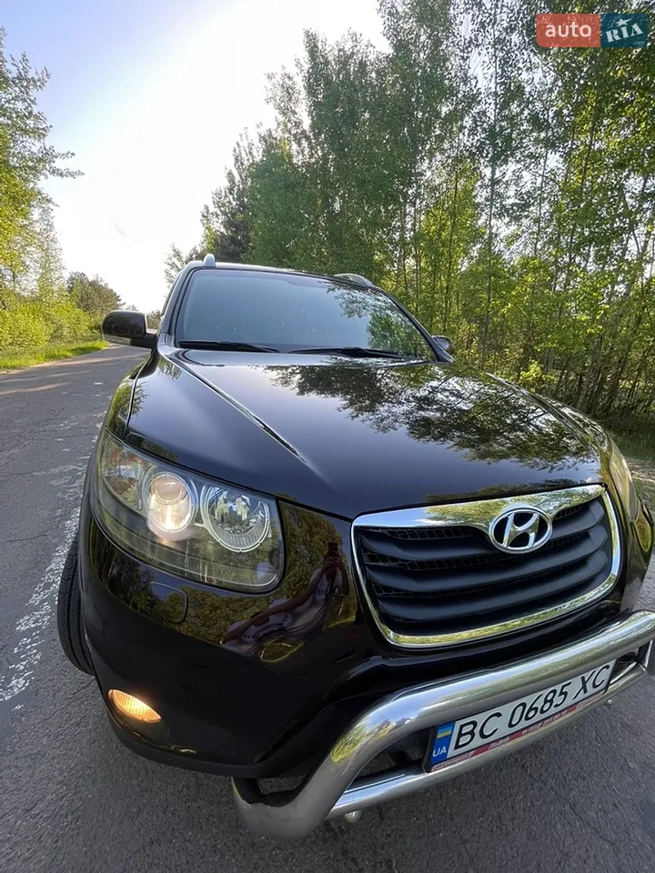 2010 Hyundai Santa Fe - мініатюра 27
