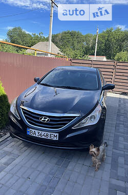 Hyundai Sonata 2013