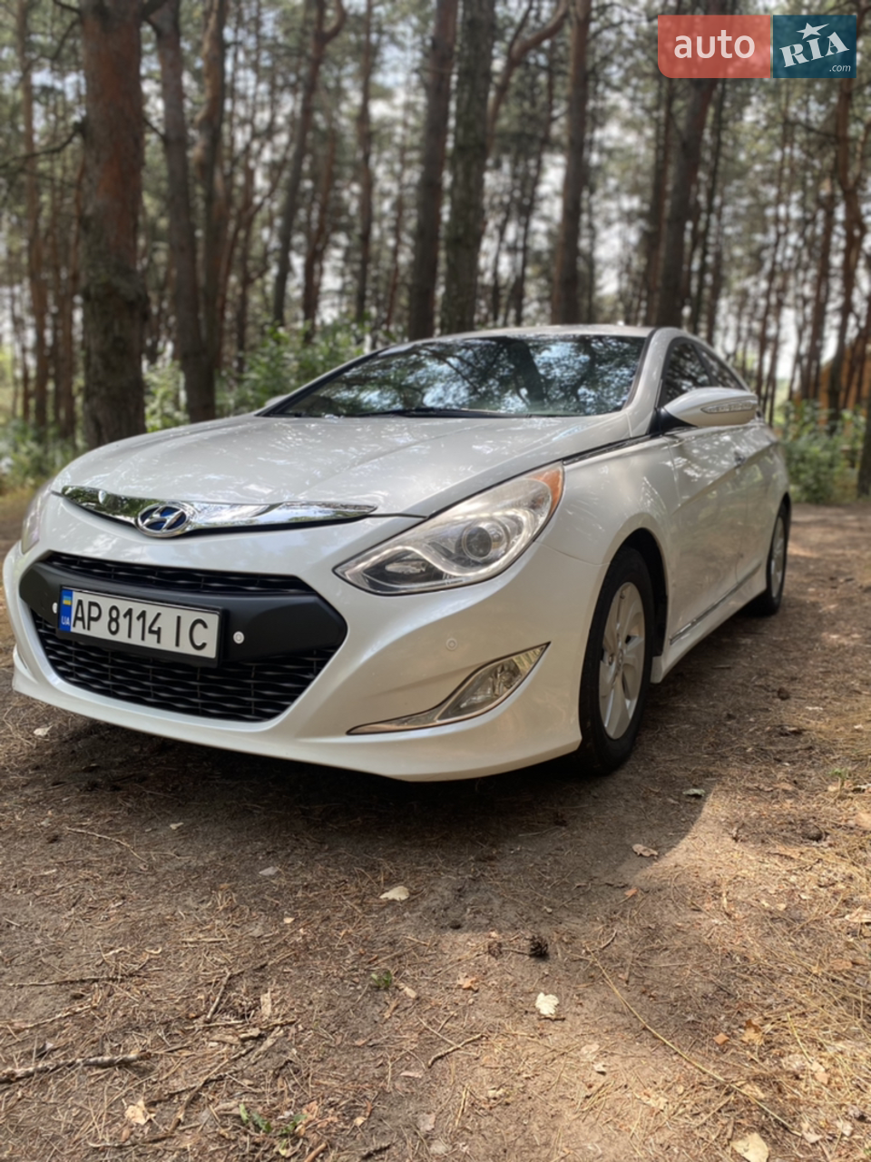2013 Hyundai Sonata - мініатюра 12