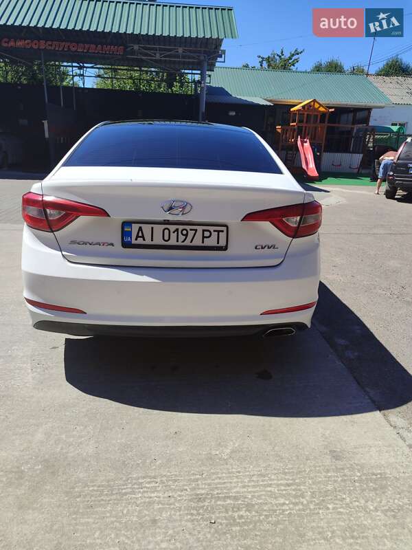 Седан Hyundai Sonata 2014 в Ставищі