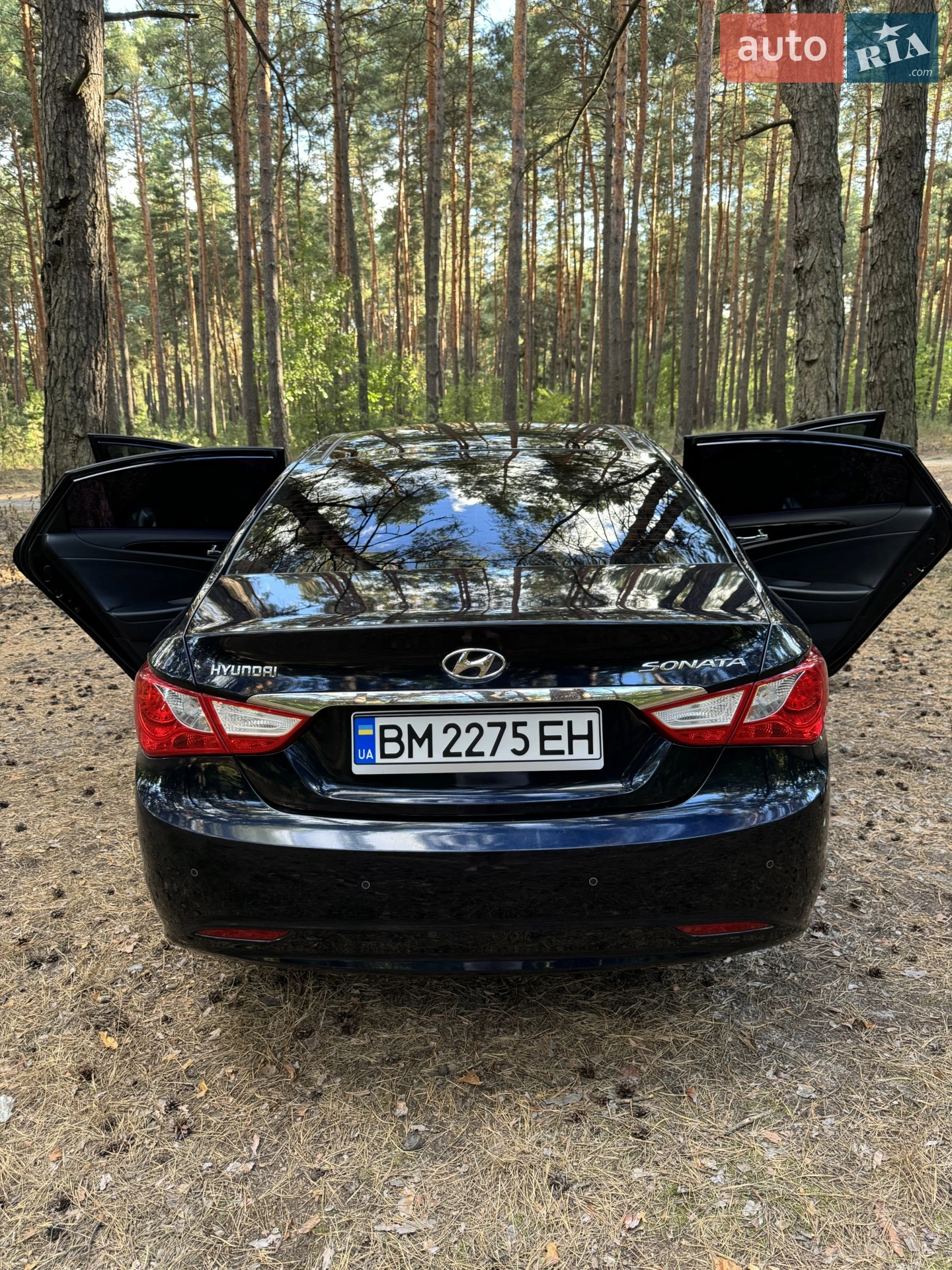 2011 Hyundai Sonata - мініатюра 4