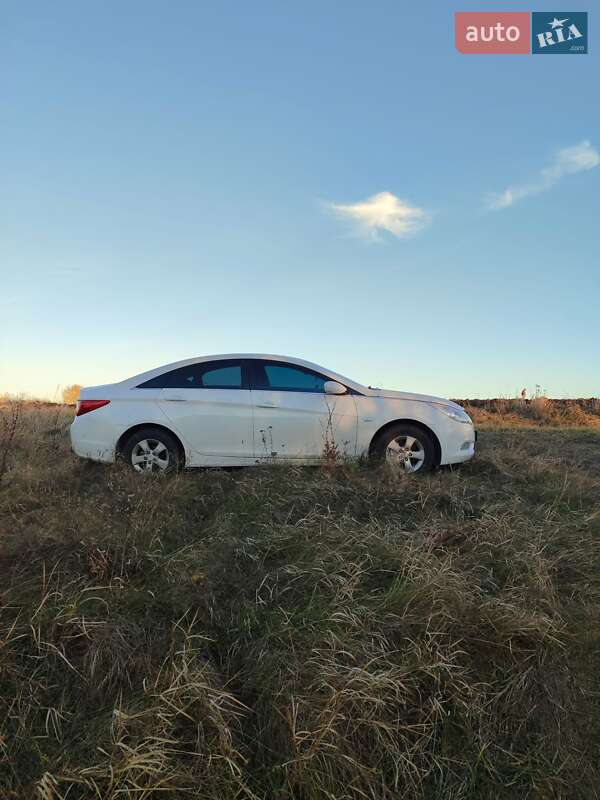 Седан Hyundai Sonata 2009 в Кропивницком
