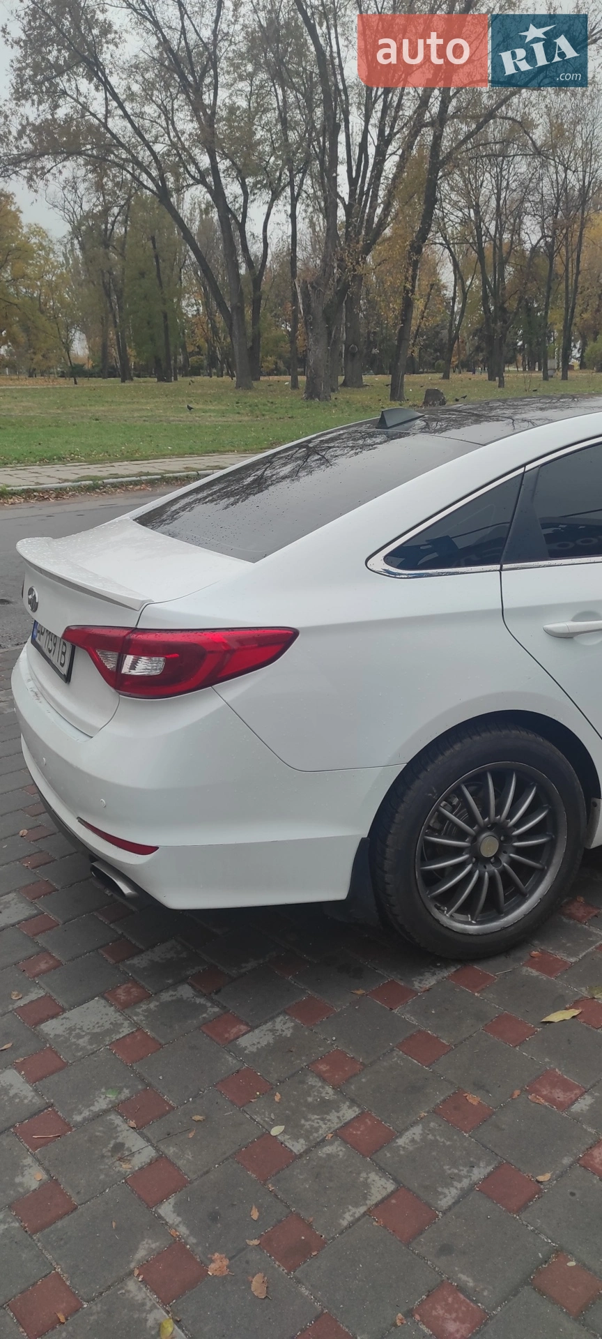 2016 Hyundai Sonata - мініатюра 4