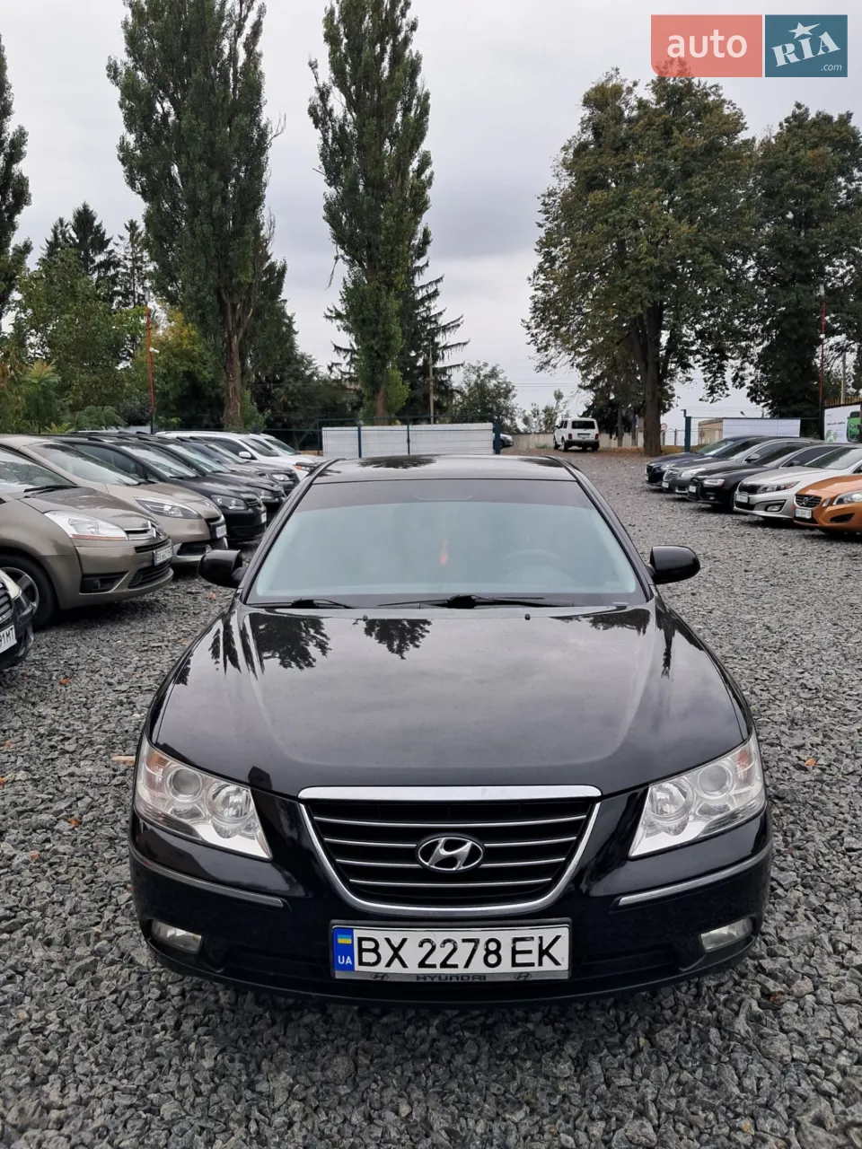 2010 Hyundai Sonata - мініатюра 11