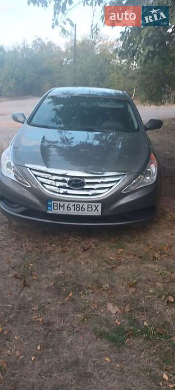 Hyundai Sonata 2013 Hyundai Sonata 2013