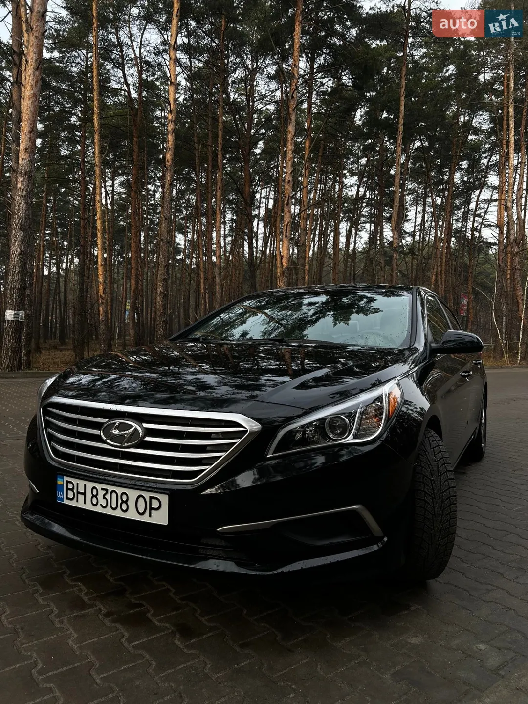 2016 Hyundai Sonata - мініатюра 9