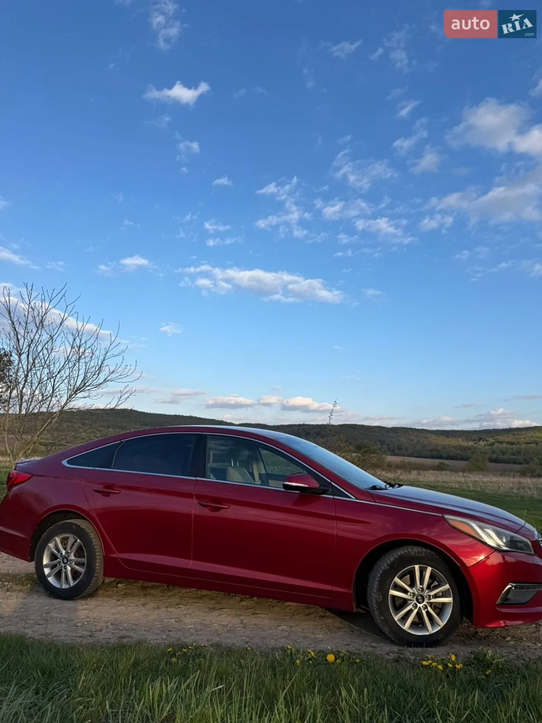 2016 Hyundai Sonata - мініатюра 4