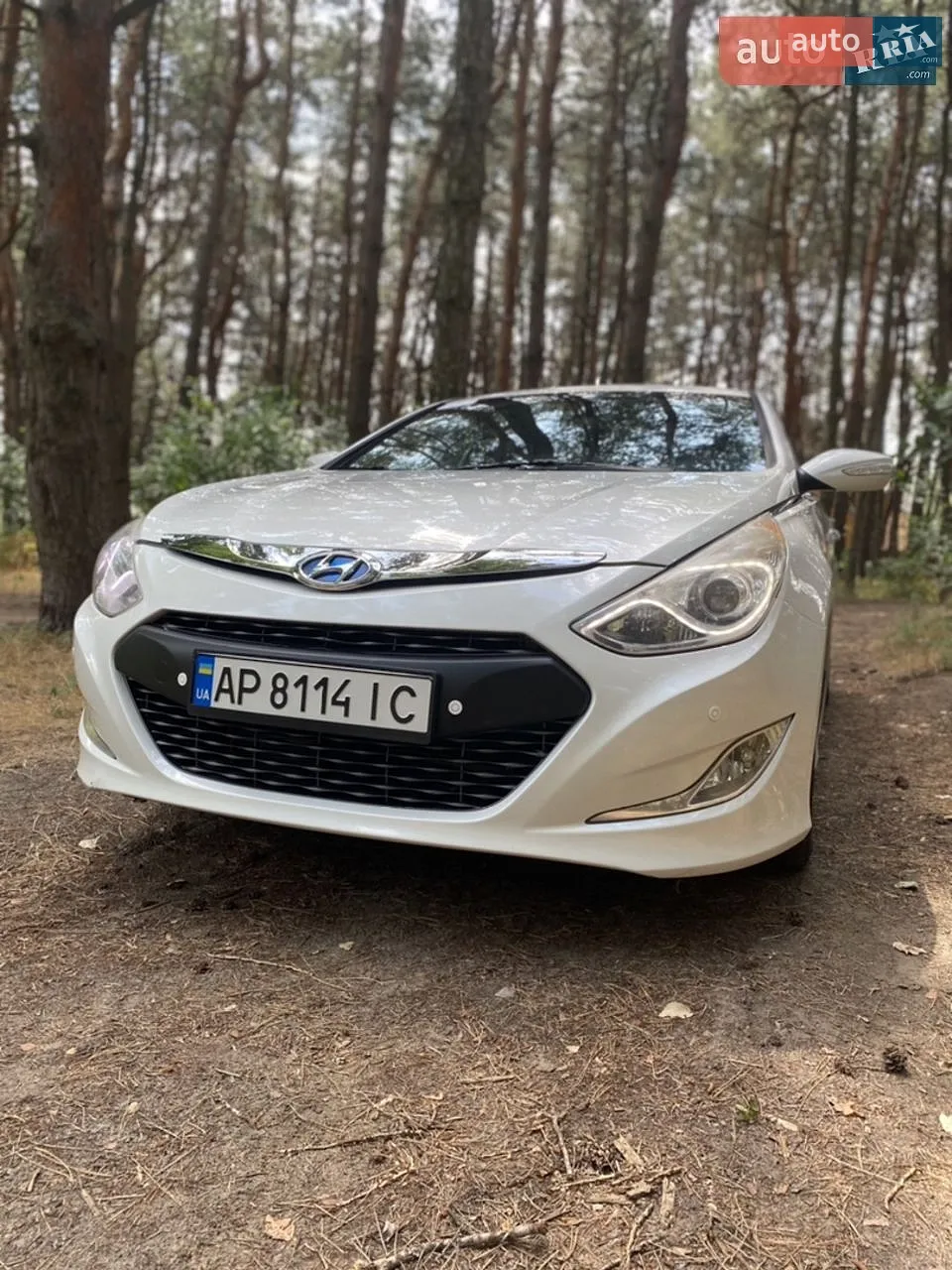 2013 Hyundai Sonata - мініатюра 2