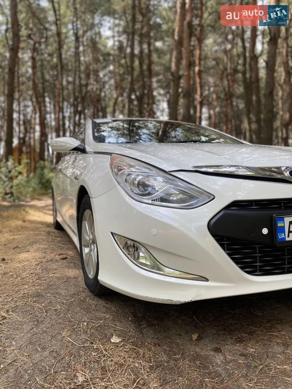 2013 Hyundai Sonata - мініатюра 12