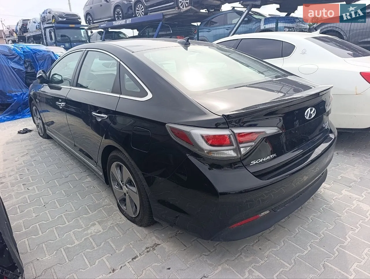 2017 Hyundai Sonata - мініатюра 5