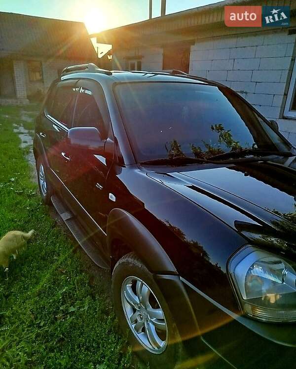 Позашляховик / Кросовер Hyundai Tucson 2006 в Шишаках